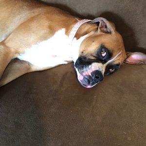 Meet your Posher, Tiffany